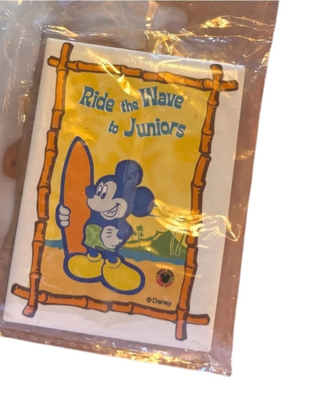 Disney Ride the Wave to Juniors button pin